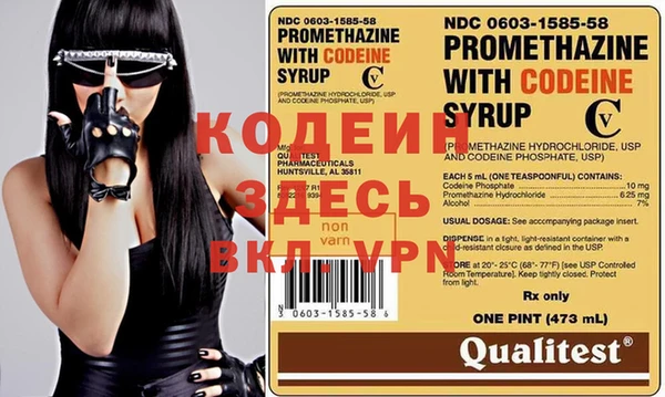 шишки Козловка