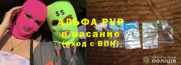 хмурый Кодинск