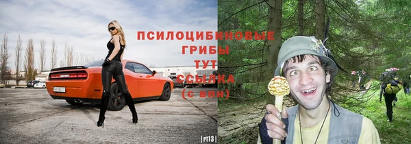 a pvp Надым