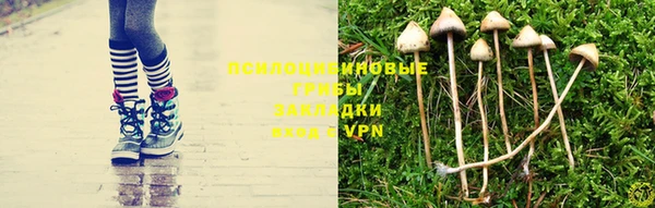 гашик Красноперекопск