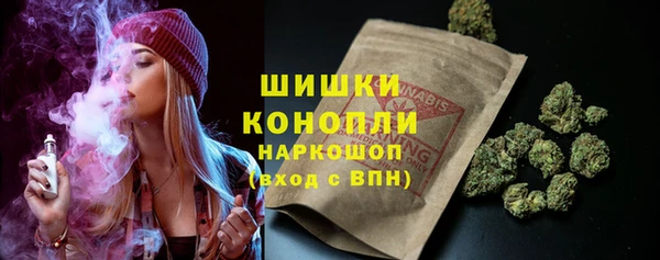 хмурый Кодинск